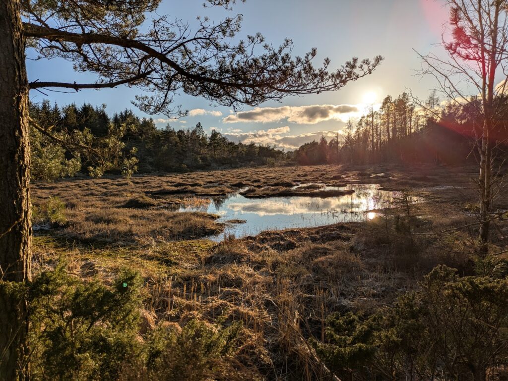 PXL_20250319_163906611